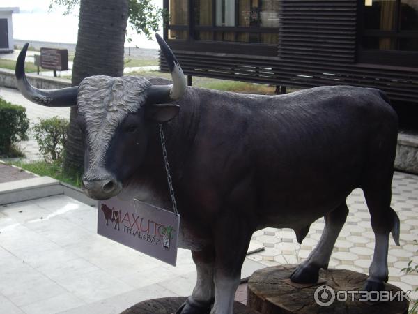 Корова при входе