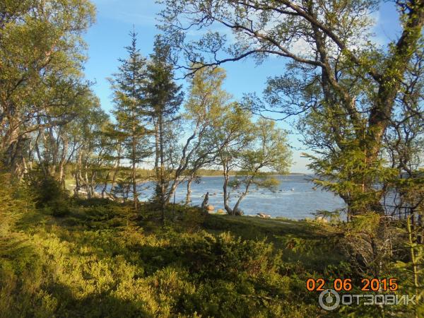 Соловецкие острова (Россия, Архангельская область) фото