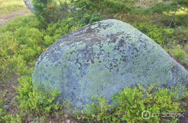 Соловецкие острова (Россия, Архангельская область) фото