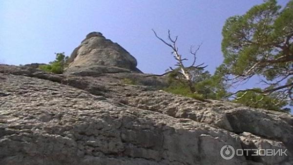 Экскурсия Голицынская тропа (Россия, Крым) фото