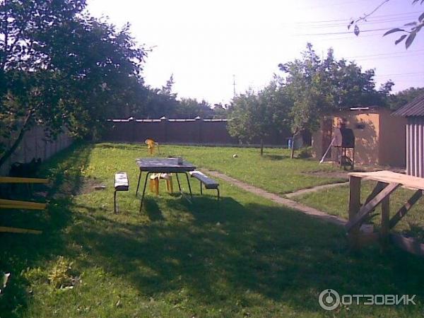Газонная трава Райграс многолетний фото