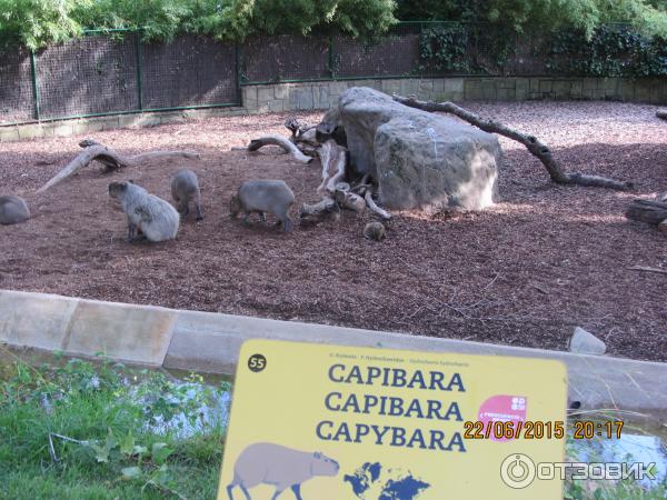 Зоопарк Барселоны (Испания, Барселона) фото