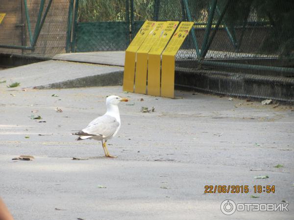 Зоопарк Барселоны (Испания, Барселона) фото