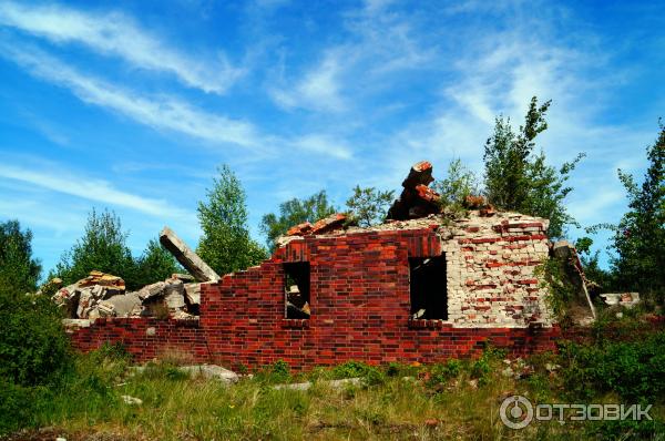 Балтийская коса (Россия, Калининградская область) фото