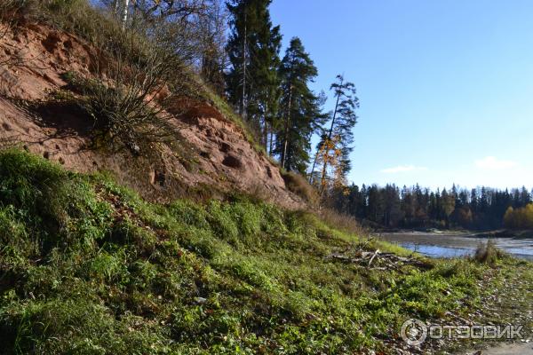 Дачная жизнь Петербурга река Оредеж