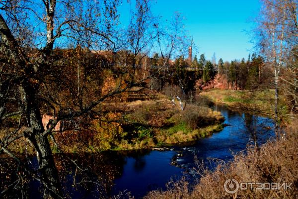 Дачная жизнь Петербурга река Оредеж