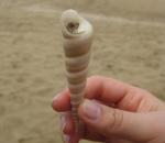 Отдых на о. Хайнань (Китай) фото