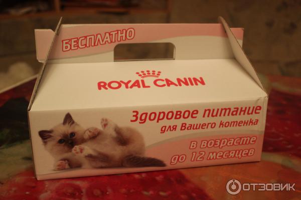 Акция корма для кошек Royal Canin 2013 фото