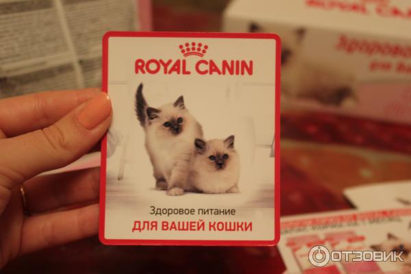 Акция корма для кошек Royal Canin 2013 фото