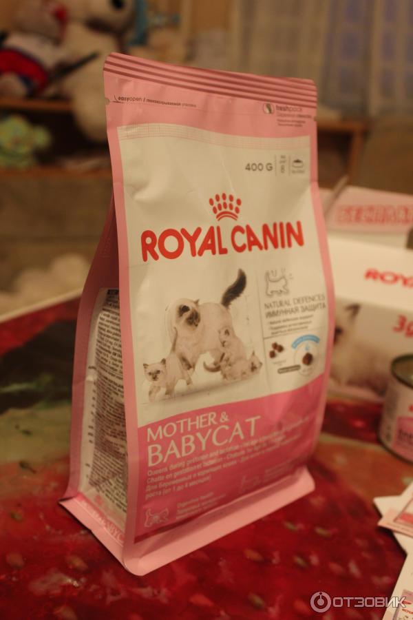 Акция корма для кошек Royal Canin 2013 фото