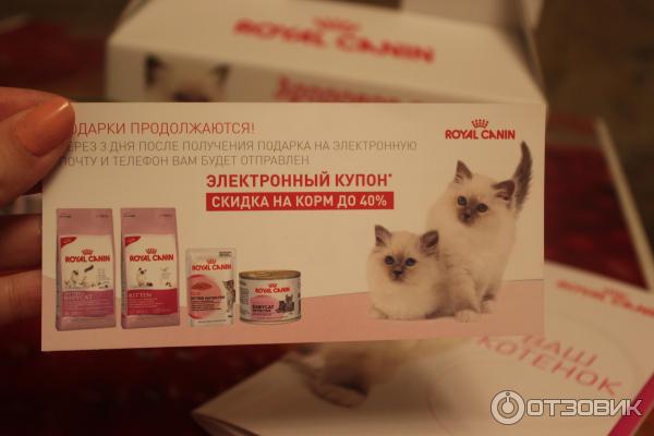 Акция корма для кошек Royal Canin 2013 фото