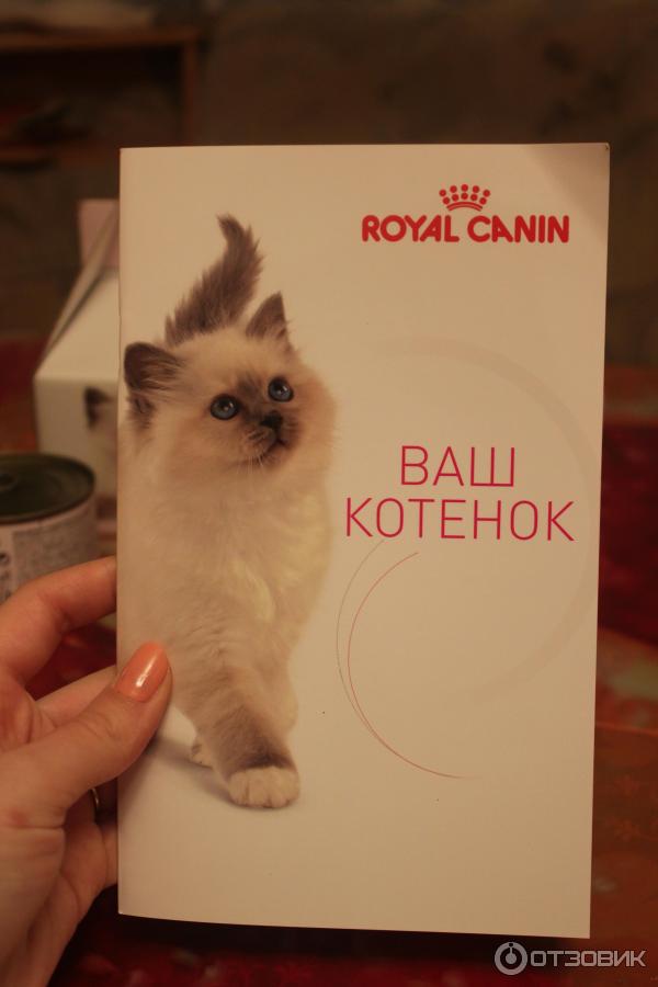 Акция корма для кошек Royal Canin 2013 фото