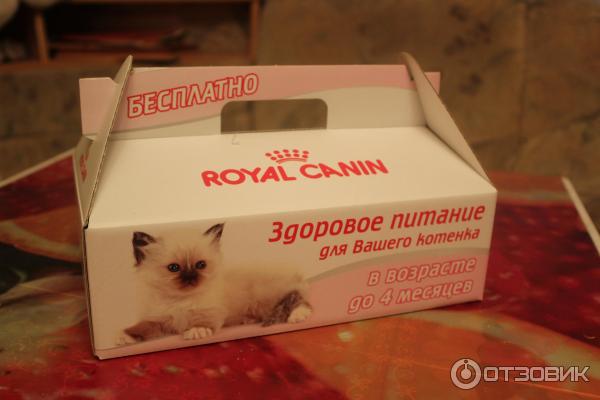 Акция корма для кошек Royal Canin 2013 фото