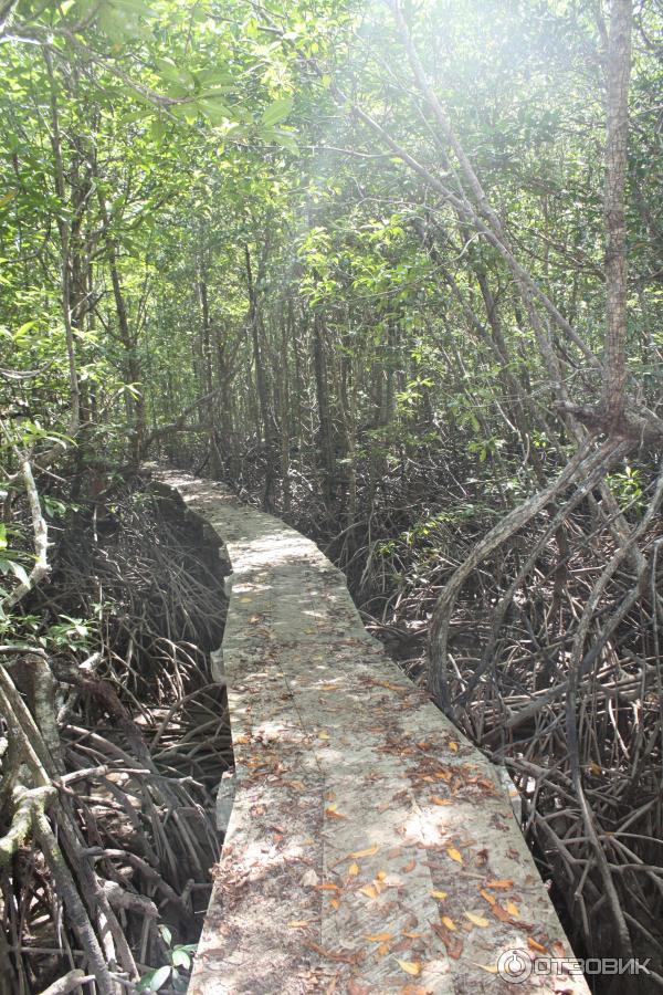 Остров Koh Kho Khao (Ко Кхо Кхао) фото