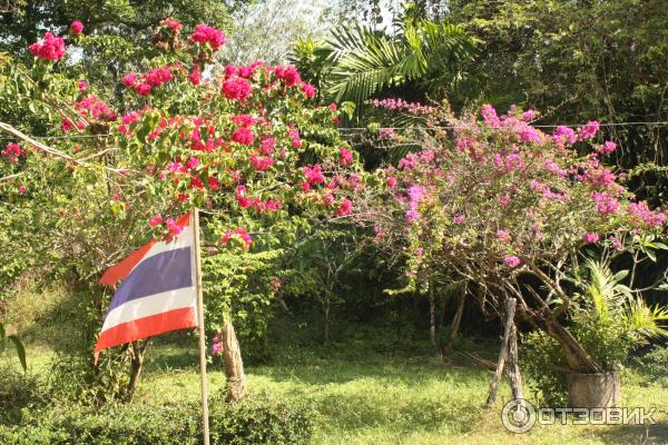 Остров Koh Kho Khao (Ко Кхо Кхао) фото