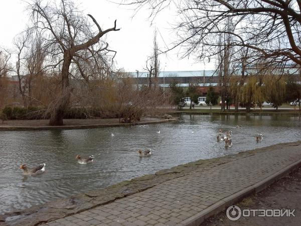 пруд городской сад краснодар