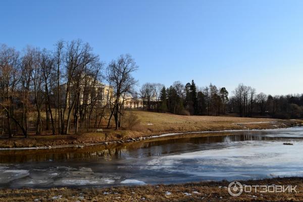 Павловск весна