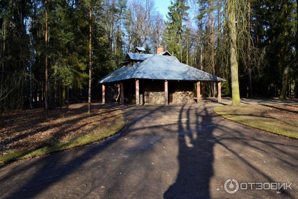 Павловский парк зима павильон Молочня