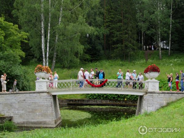 Павловский парк лето. У Чугунного моста