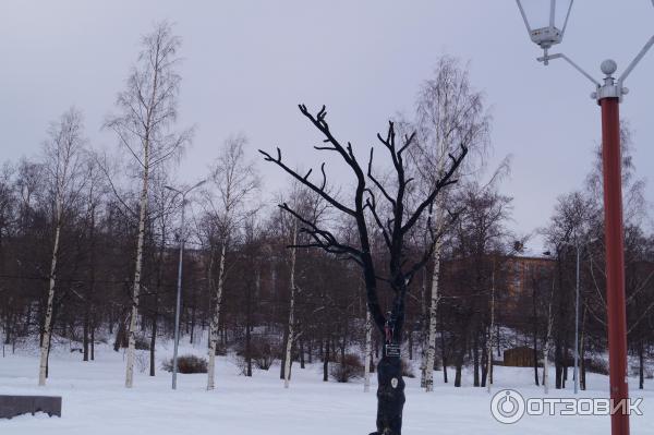 Набережная Онежского озера (Россия, Петрозаводск) фото