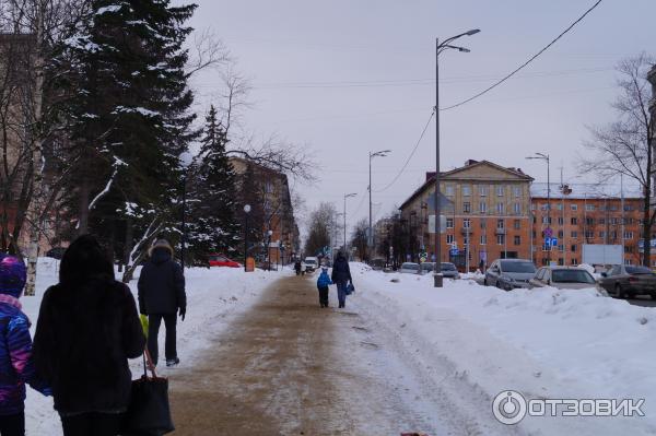 Набережная Онежского озера (Россия, Петрозаводск) фото