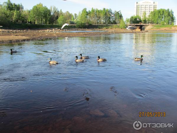 Набережная Онежского озера (Россия, Петрозаводск) фото