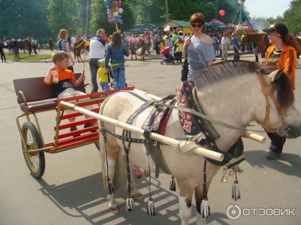 Набережная Онежского озера (Россия, Петрозаводск) фото