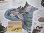 Книга "Большая книга знаний" - издательство Махаон фото