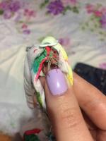 Asos.com - интернет-магазин одежды, обуви и аксессуаров фото