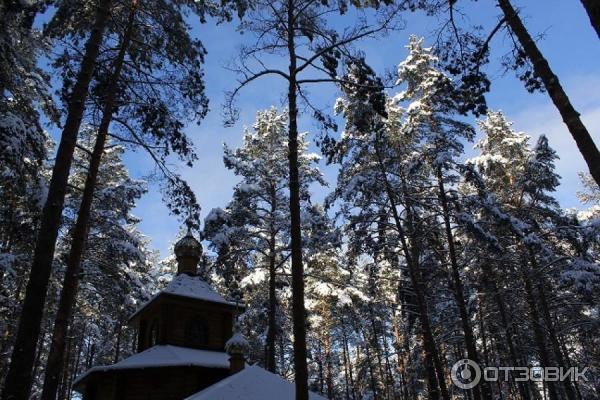 Загородный клуб Велес (Россия, Владимирская область) фото