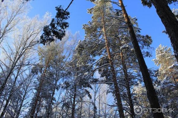 Загородный клуб Велес (Россия, Владимирская область) фото