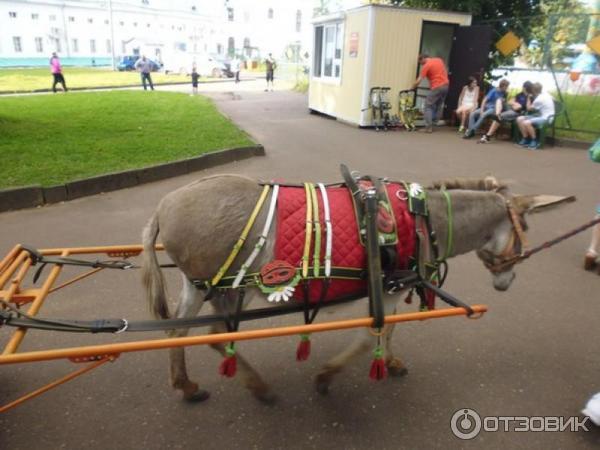 Ежегодный международный фестиваль фейерверков Серебряная ладья (Россия, Кострома) фото