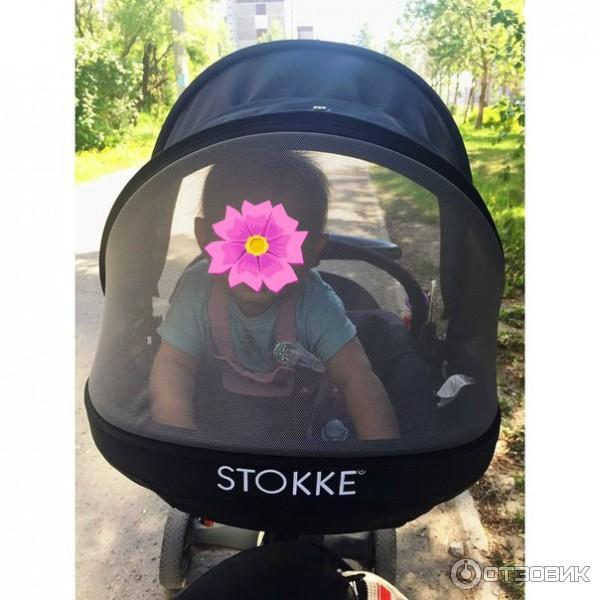 Детская коляска-трансформер Stokke Xplory фото