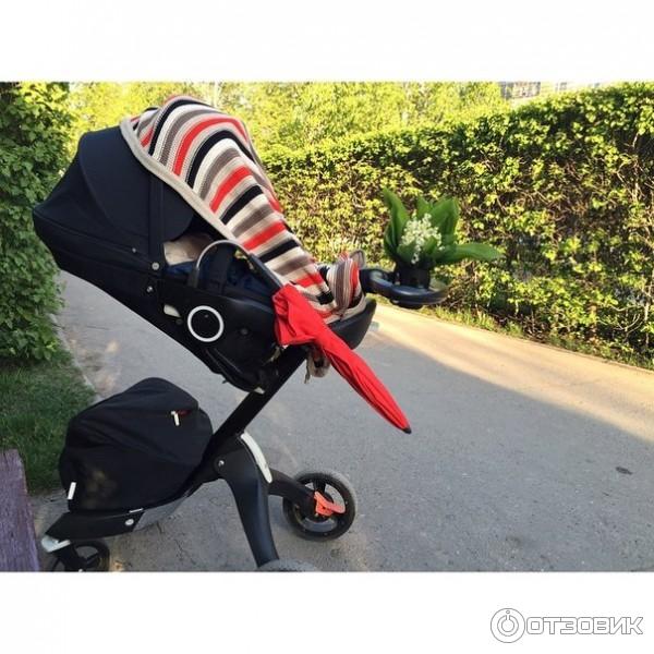 Детская коляска-трансформер Stokke Xplory фото