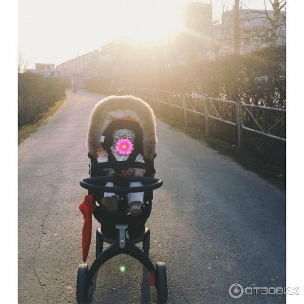 Детская коляска-трансформер Stokke Xplory фото