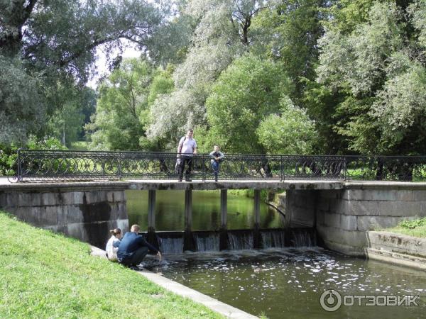 Музей-заповедник Павловск (Россия, Санкт-Петербург) фото