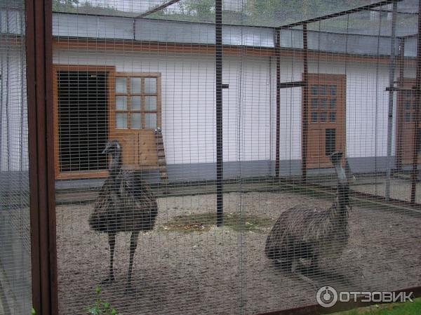 Святогорская Свято-Успенская Лавра (Украина, Святогорск) фото