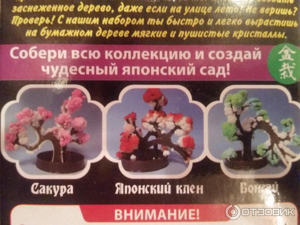 Набор для опытов Снежный бонсай фото