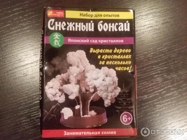 Набор для опытов Снежный бонсай фото