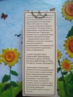 Масло для волос DNC БЭЙ фото