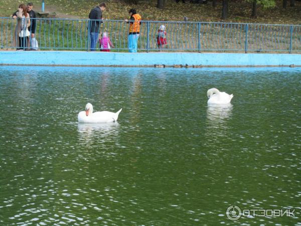 Парк Победы (Украина, Одесса) фото