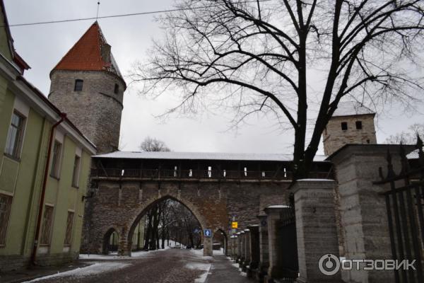 Таллинн. Старая крепостная стена. Ворота Монахинь