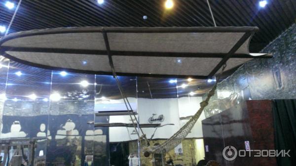 Музей Леонардо да Винчи (Россия, Сочи) фото