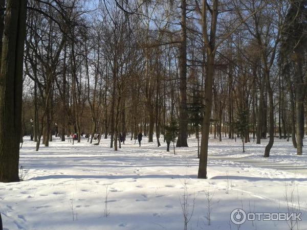 Музей-заповедник Царицыно (Россия, Москва) фото