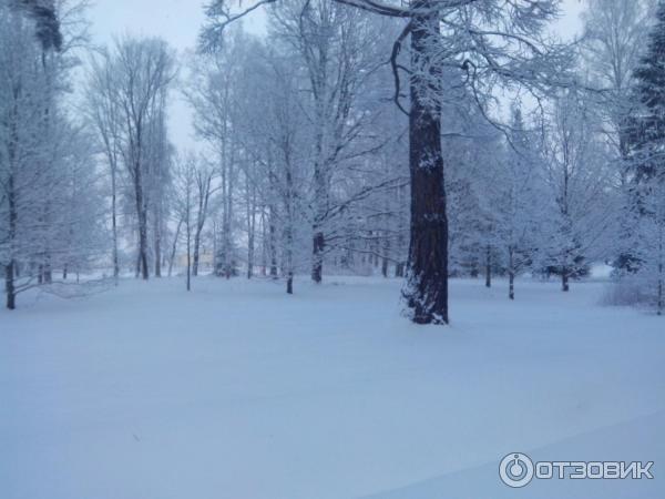 Город Ломоносов (Россия, Ленинградская область) фото