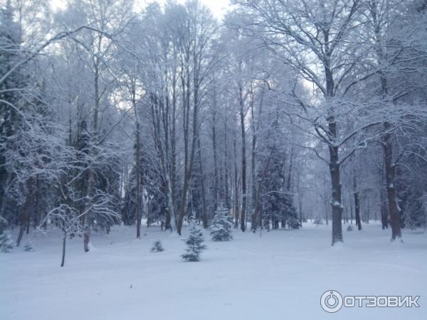 Город Ломоносов (Россия, Ленинградская область) фото