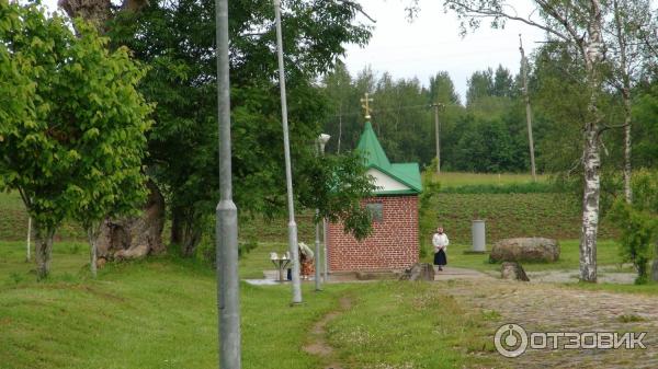 Пюхтицкий Успенский Ставропигиальный (Эстония, Куремяэ) фото