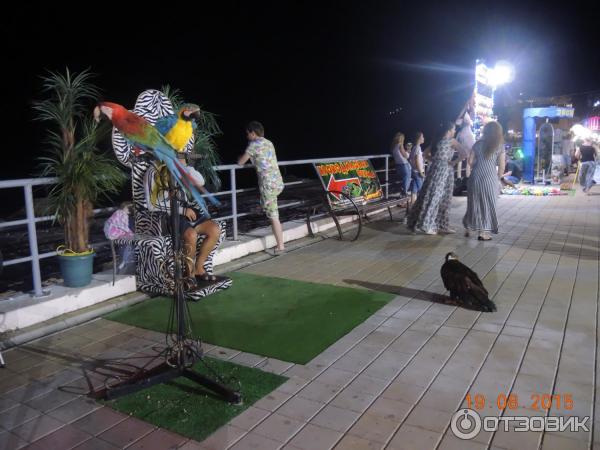 Набережная в Ольгинке