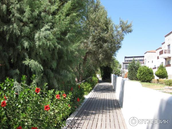 Отель Sun Beach Lindos 3* (Греция о. Родос) фото