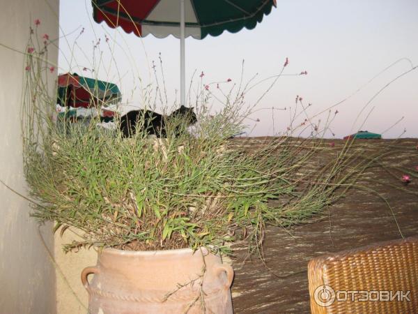 Отель Sun Beach Lindos 3* (Греция о. Родос) фото
